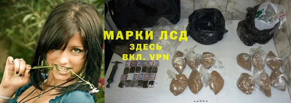 амф Инта