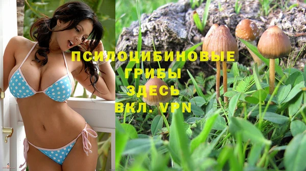 герыч Сосновоборск