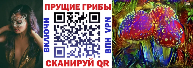 Псилоцибиновые грибы Psilocybe  hydra как войти  Судак  наркотики 